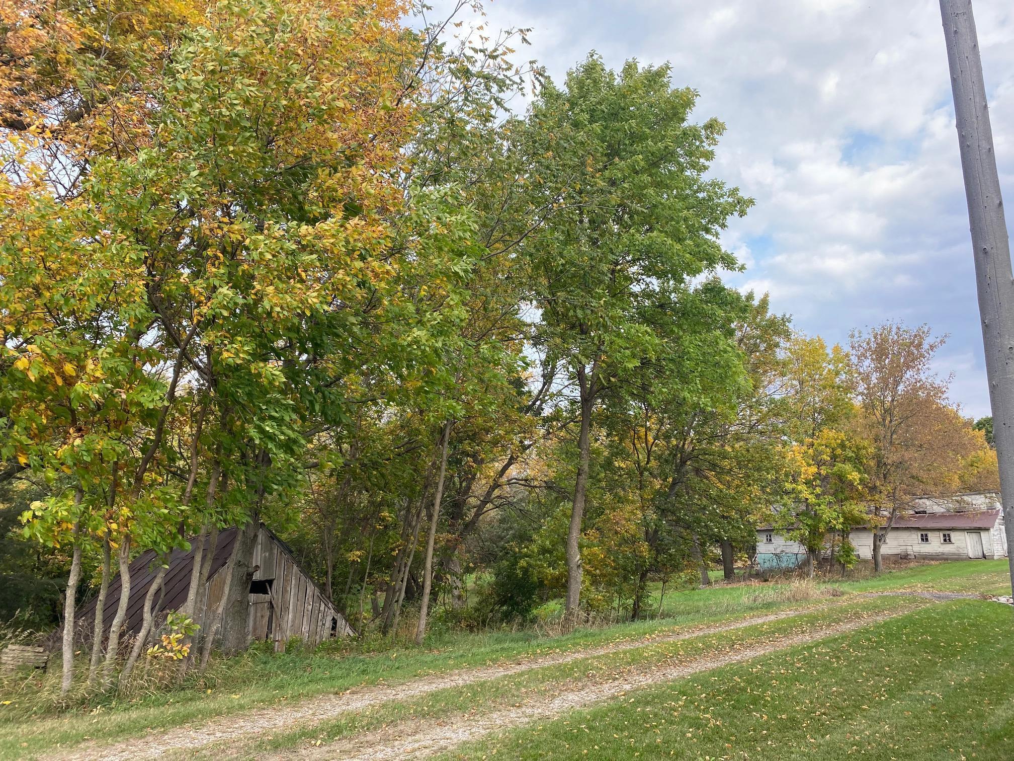 8071 70th Street, Lonsdale, Minnesota image 3