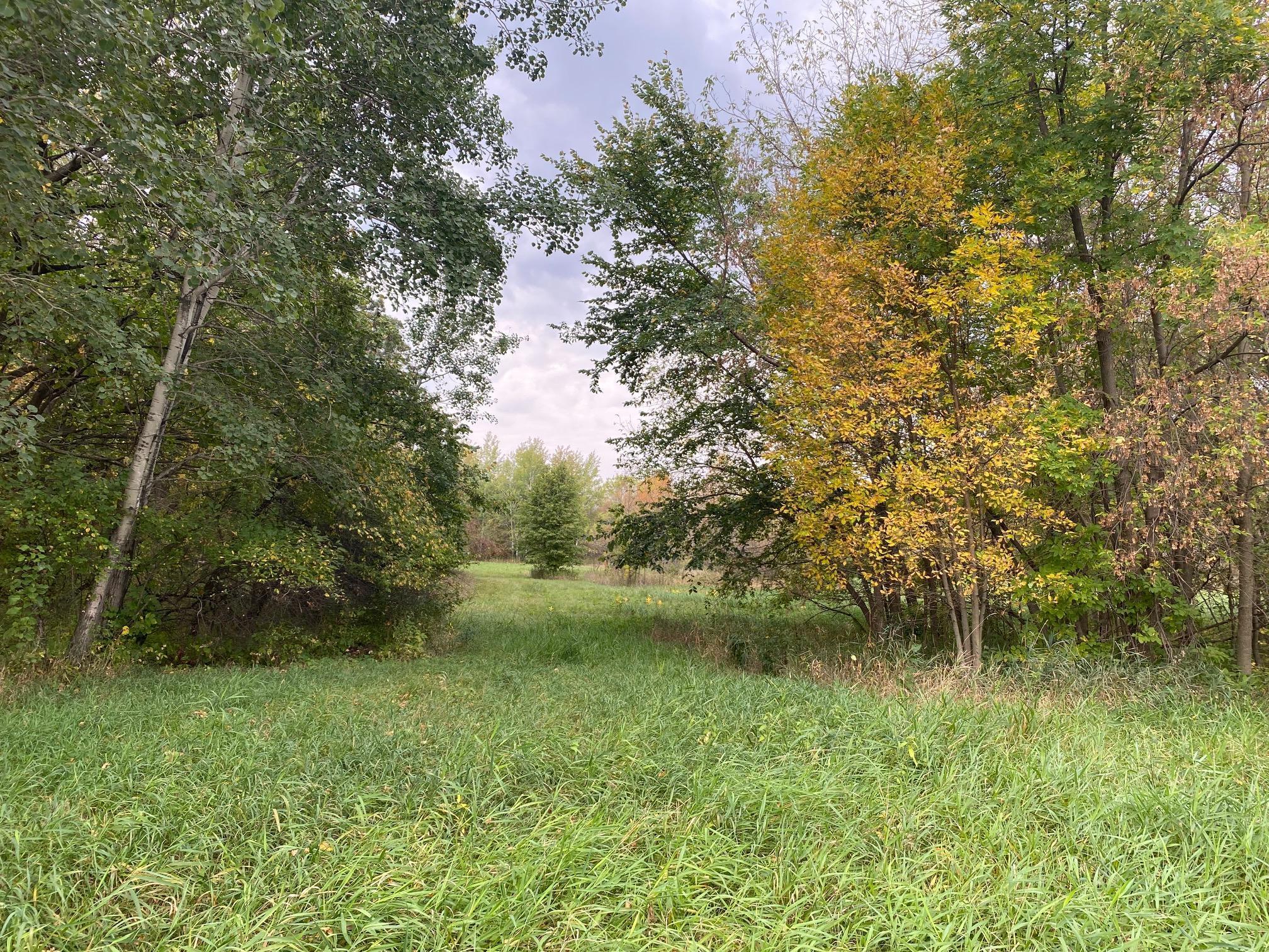 8071 70th Street, Lonsdale, Minnesota image 9