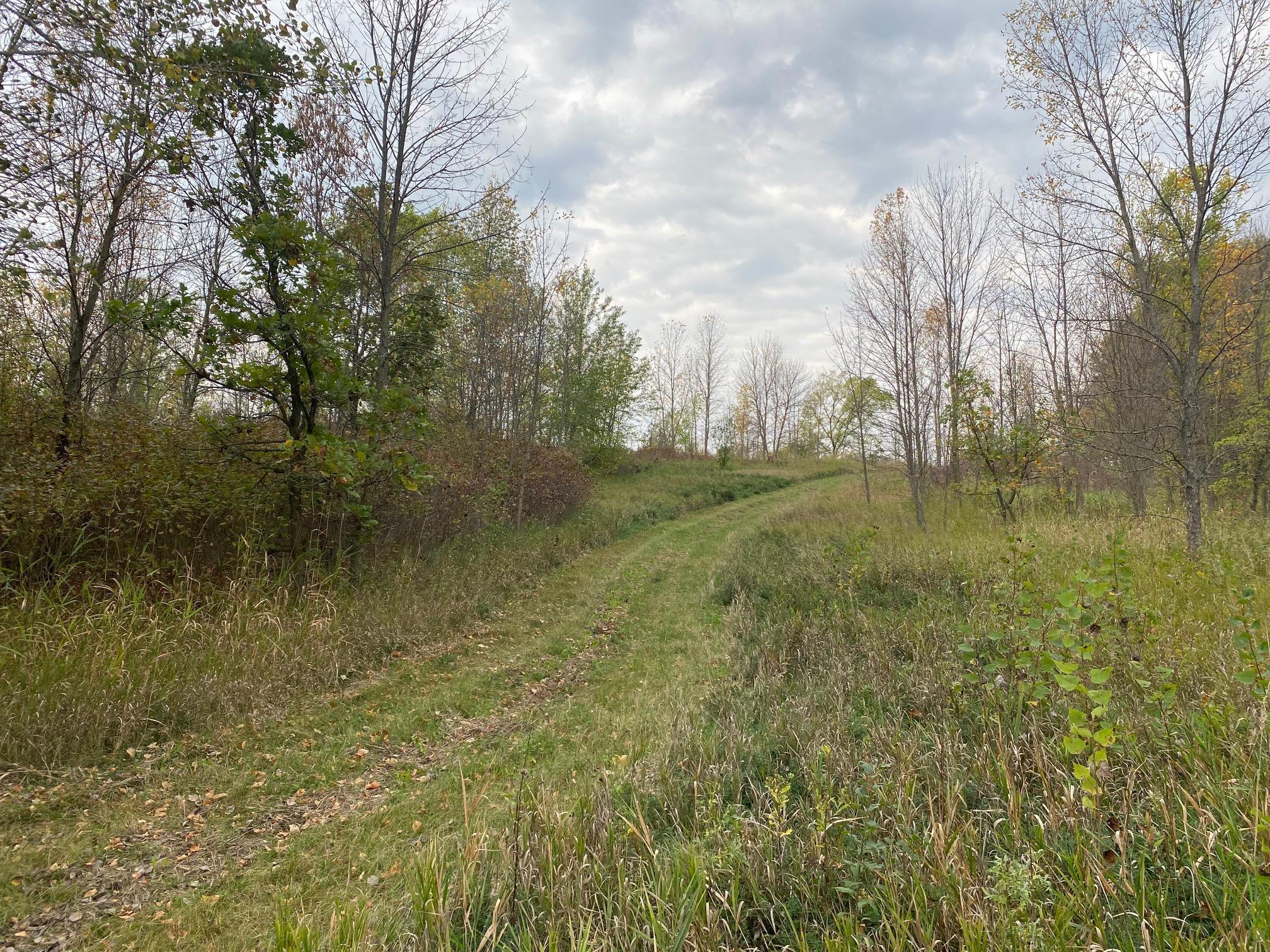 8071 70th Street, Lonsdale, Minnesota image 18