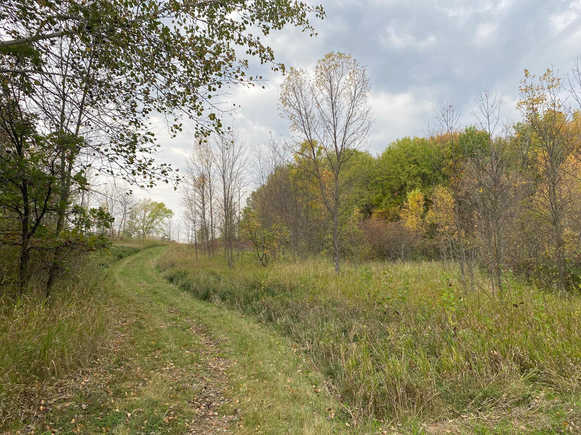 8071 70th Street, Lonsdale, Minnesota image 17