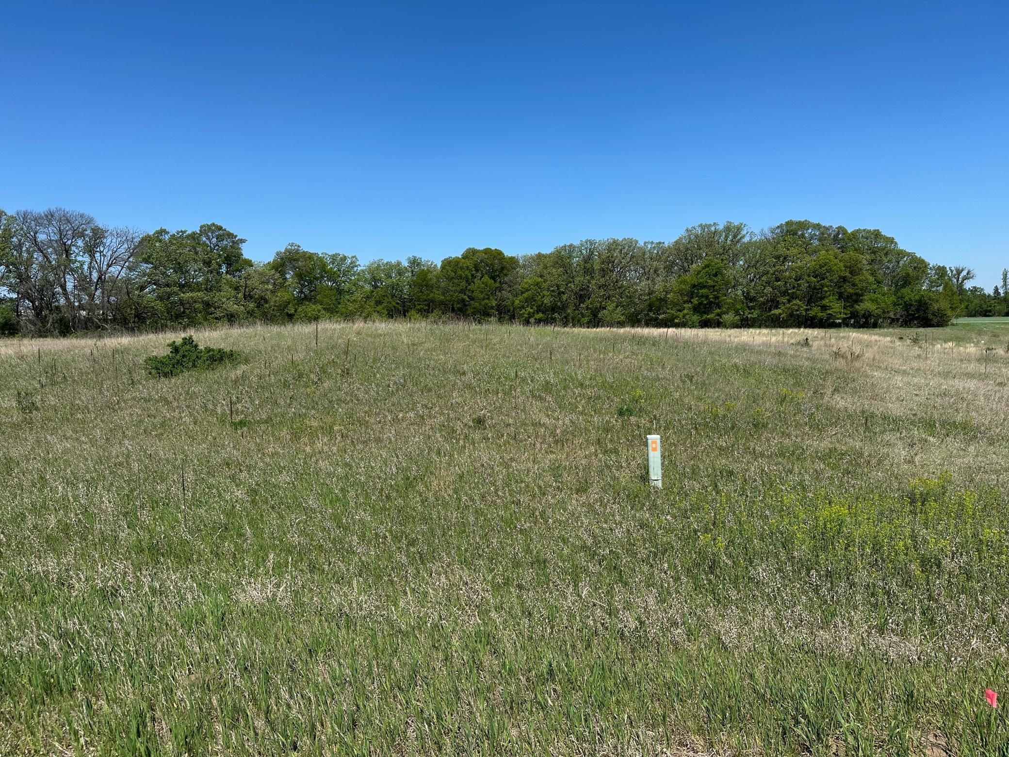 XXX 146th Street, Princeton, Minnesota image 9