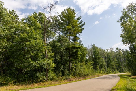 Vacant Land For Sale - 2.97 ACRES LOT 8 BLOCK 1 Nature Trail<br/> Crow Wing County, Crosby, MN 56431