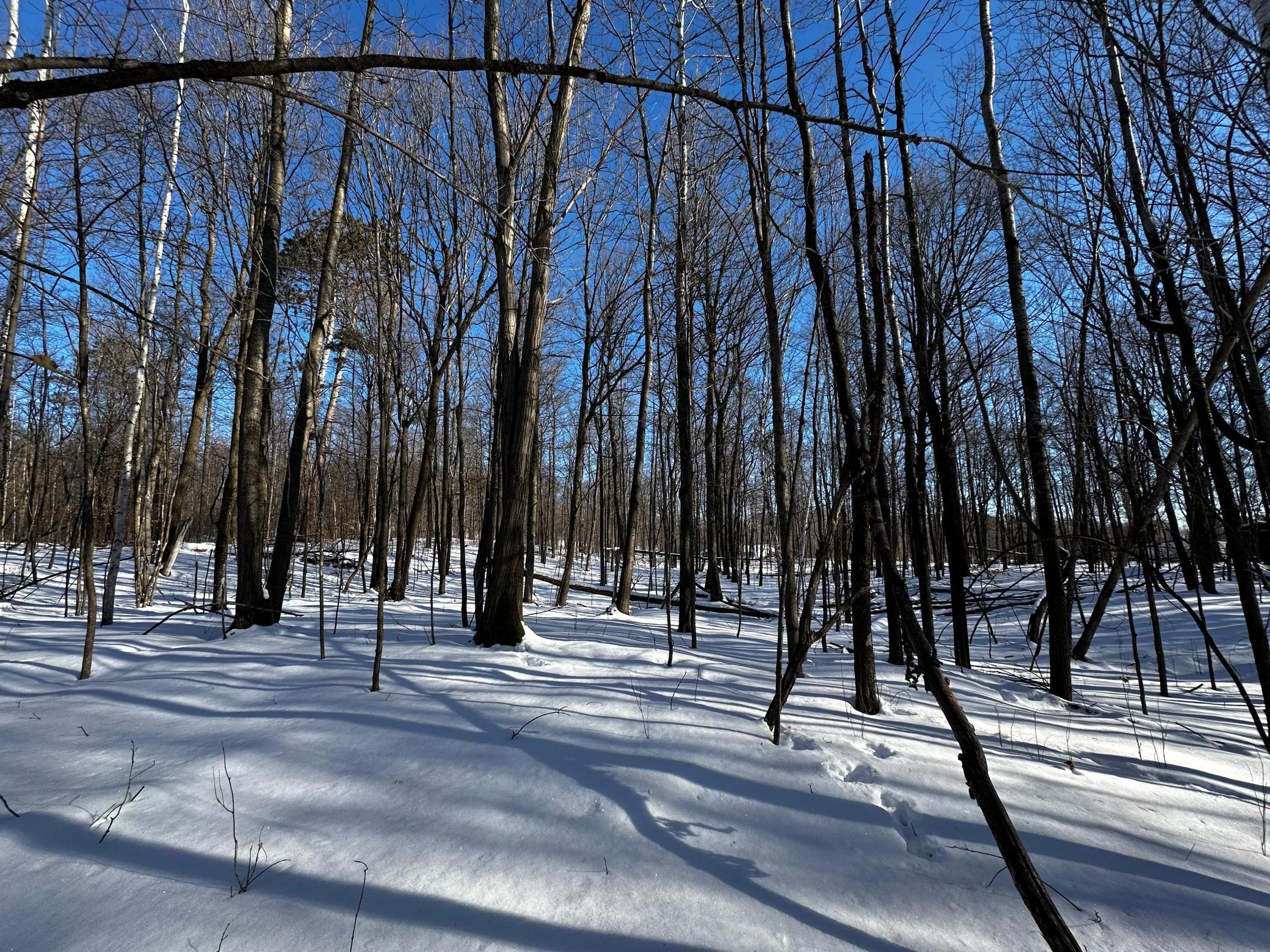 TBD Fox Run Lane, Deerwood, Minnesota image 9