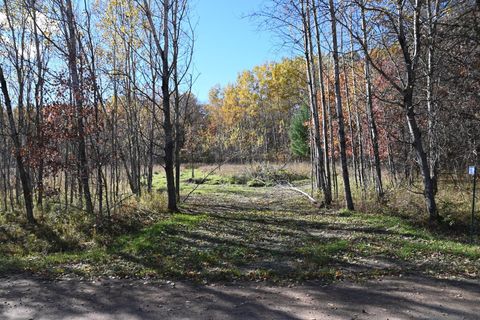 Vacant Land For Sale - 27705 Oberon Loop<br/> Todd County, Browerville, MN 56438