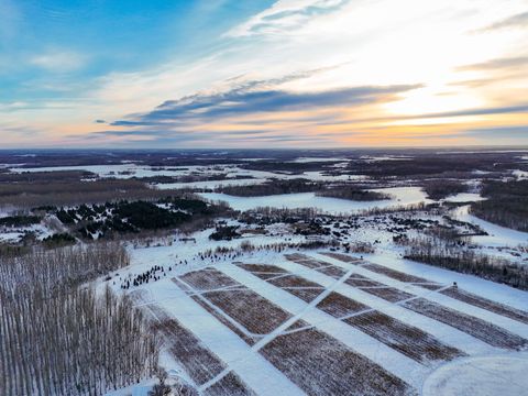 Vacant Land For Sale - 453XX Co Hwy 67 [c]<br/> New York Mills, MN 56567