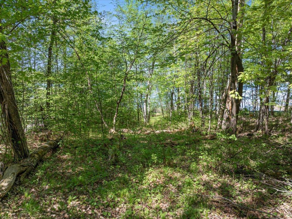 L6B1 Wallins South Shore Drive, Pequot Lakes, Minnesota image 9