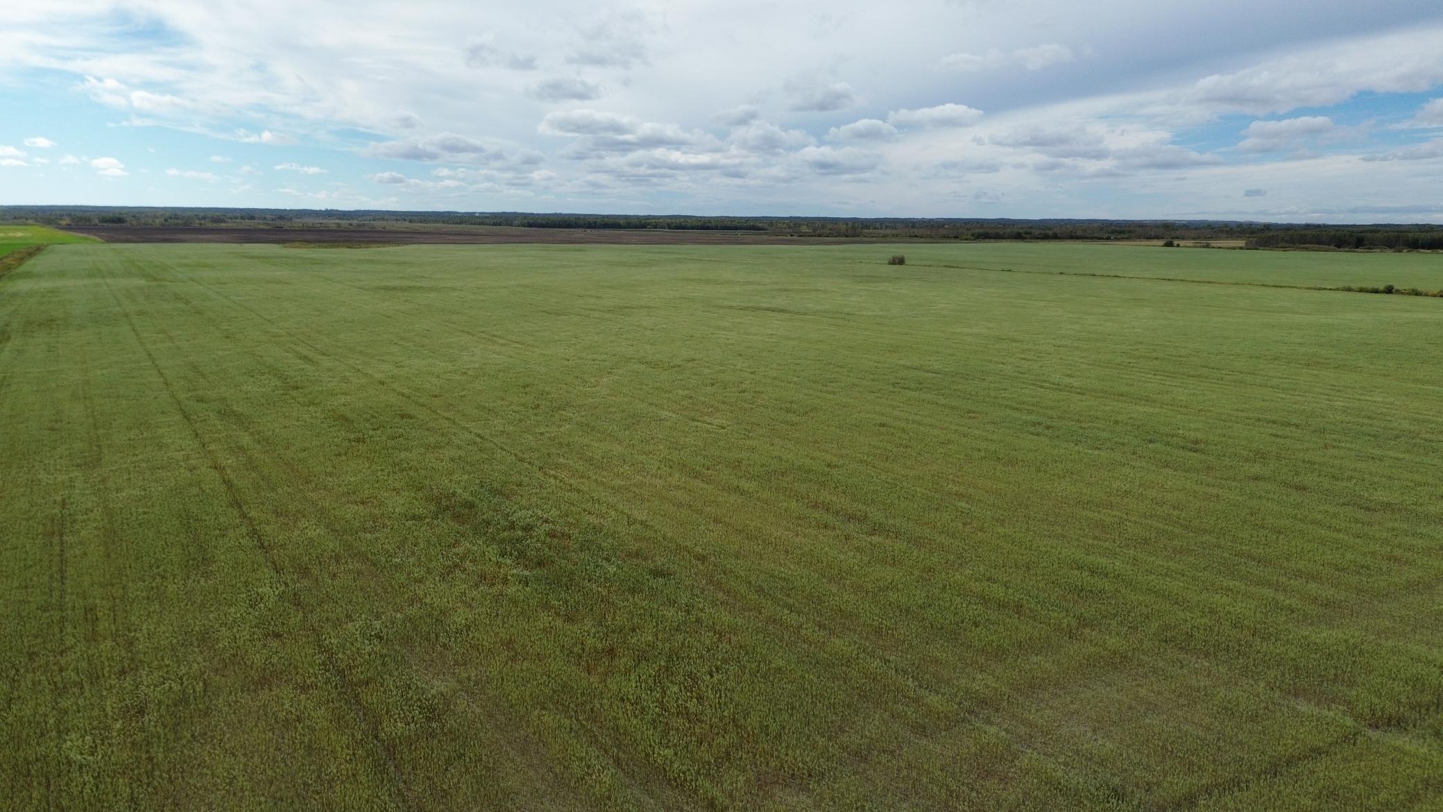 TBD 230 Street, Gully, Minnesota image 1
