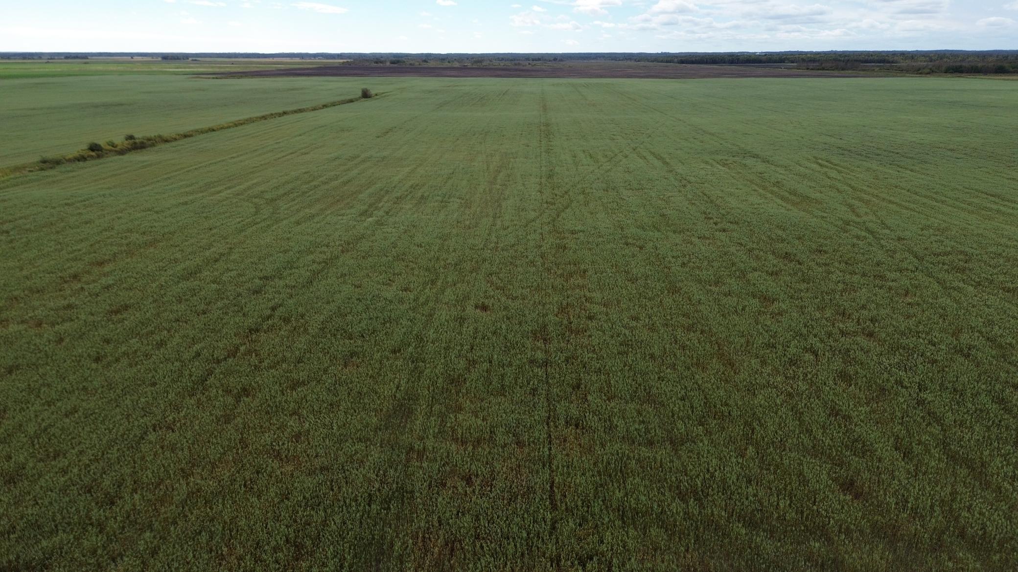 TBD 230 Street, Gully, Minnesota image 15