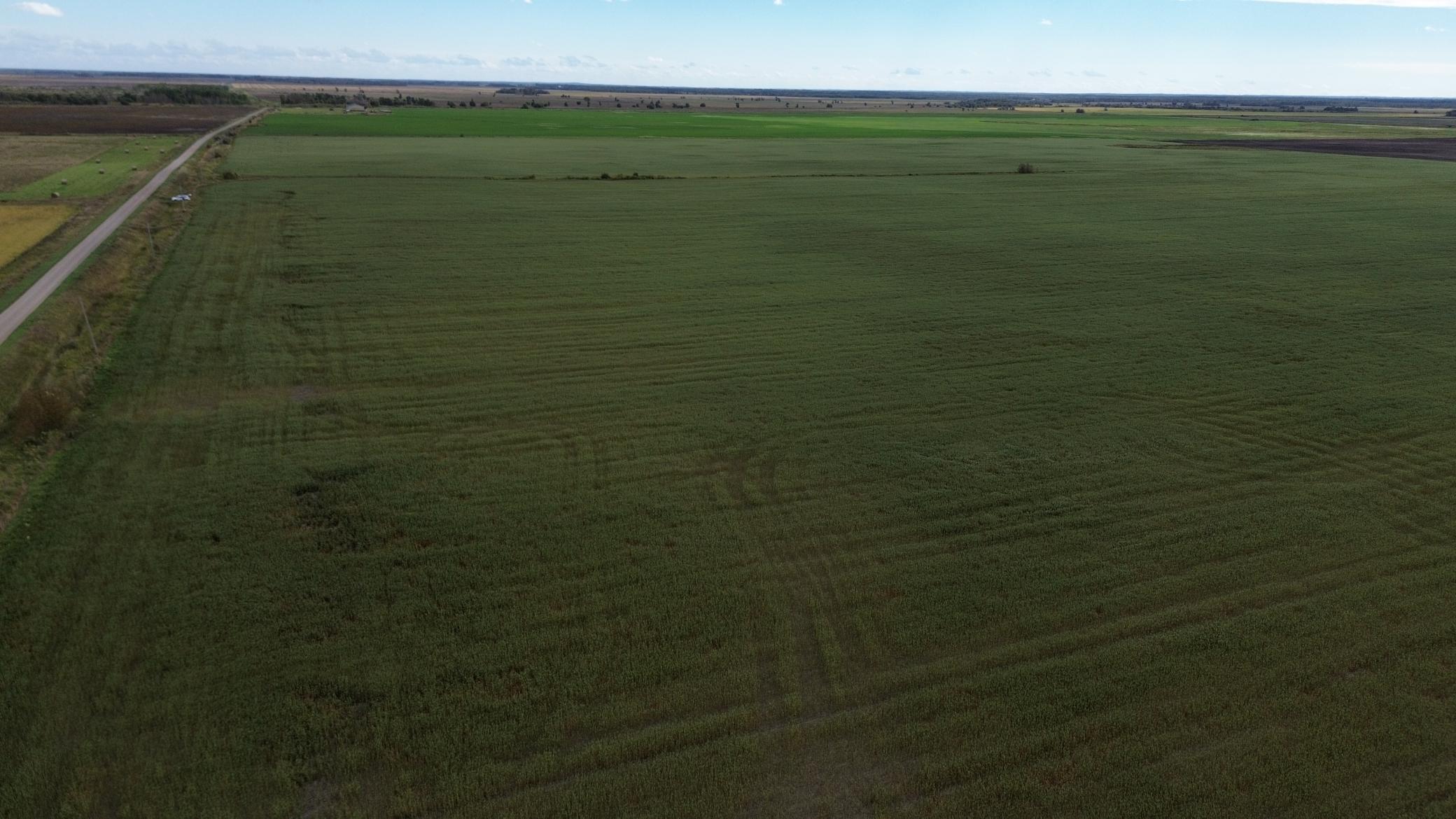 TBD 230 Street, Gully, Minnesota image 11