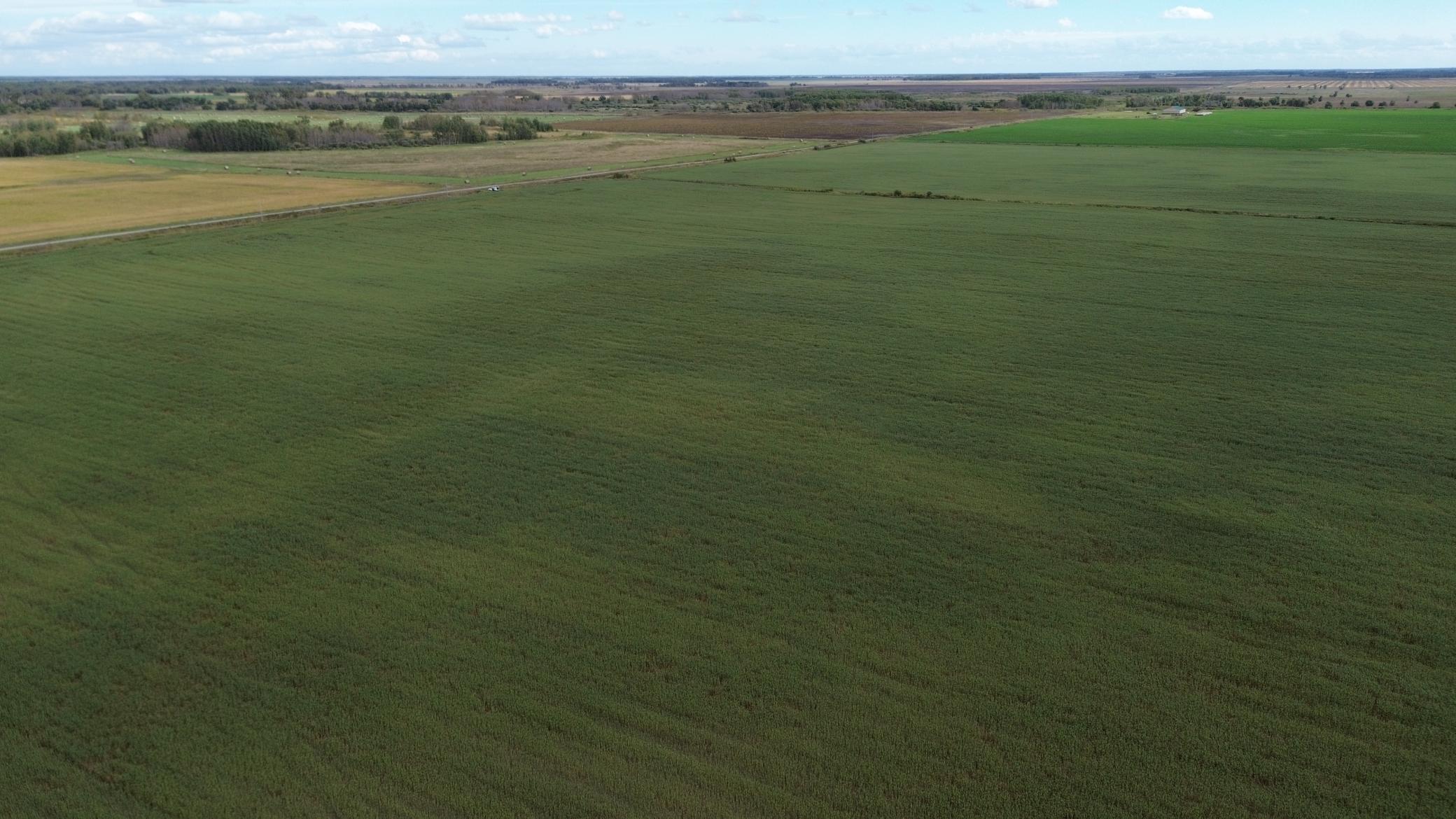 TBD 230 Street, Gully, Minnesota image 9