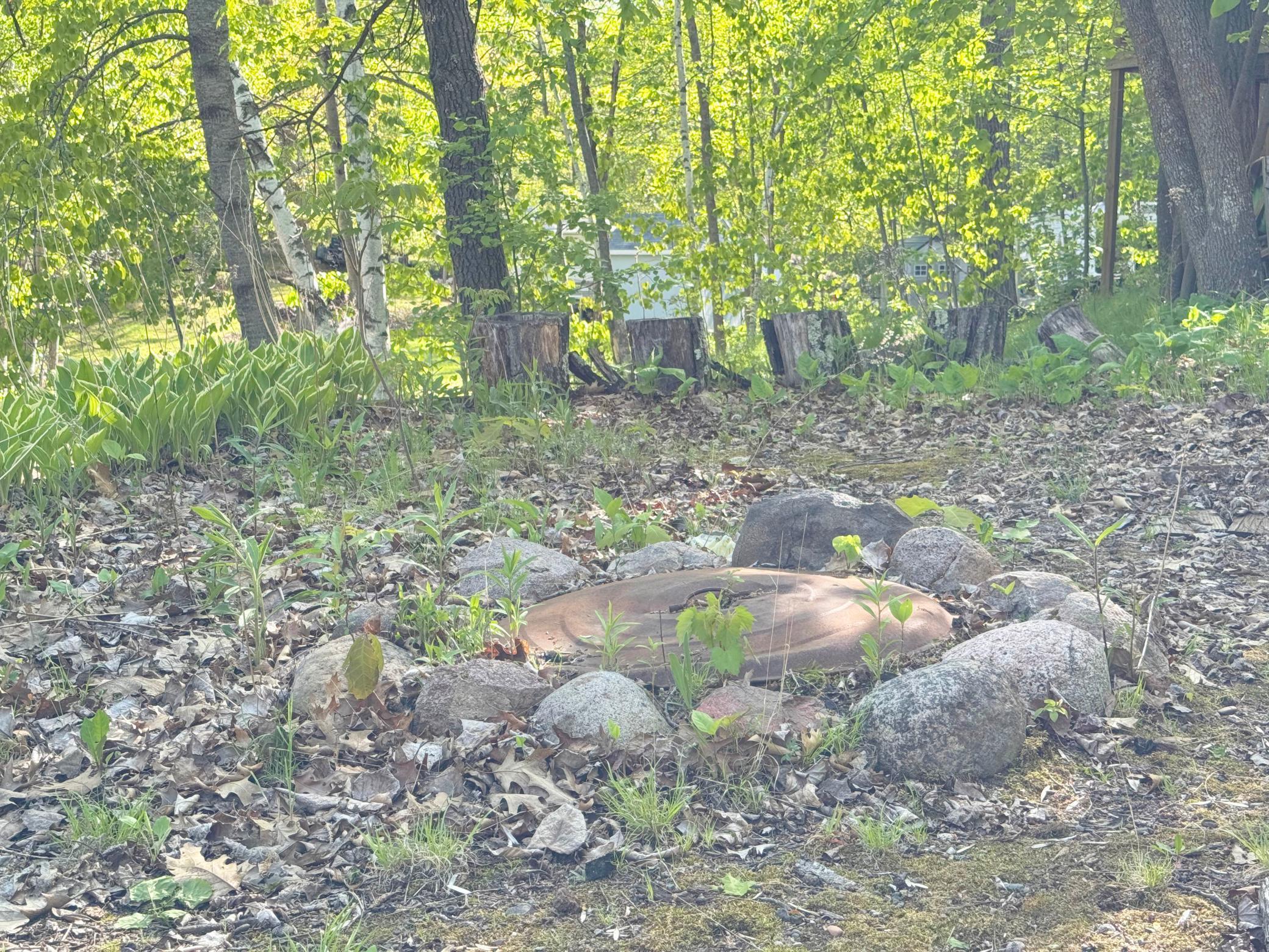 L6-7 B8 Casual Trail, Garrison, Minnesota image 18