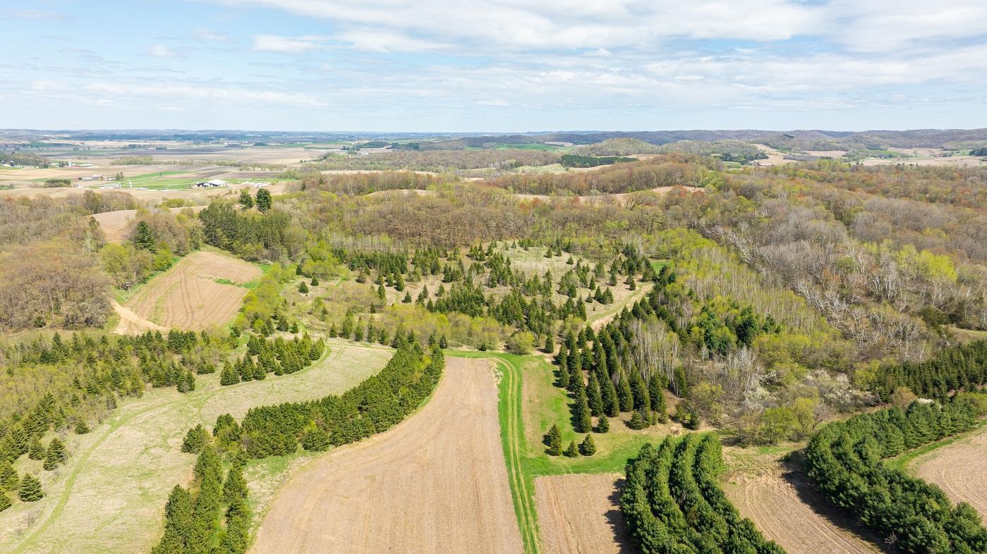 W1349 Hurlbert Road, Mondovi, Wisconsin image 41