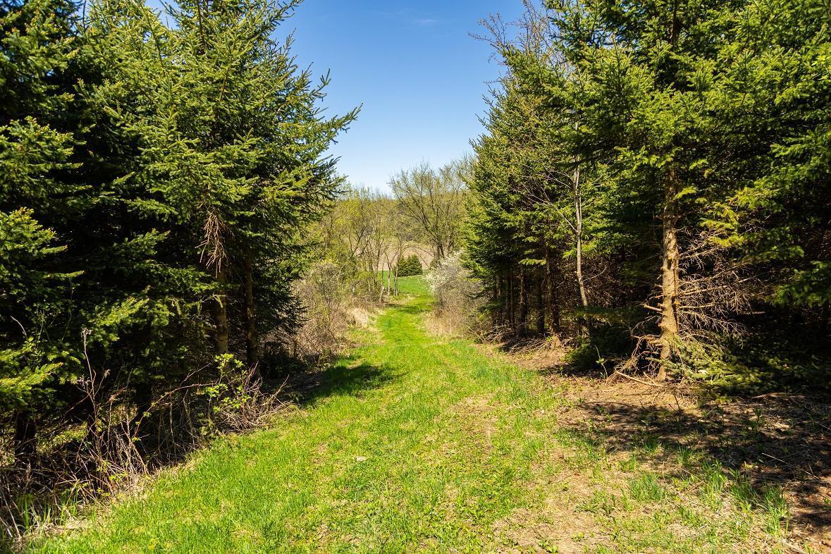 W1349 Hurlbert Road, Mondovi, Wisconsin image 33