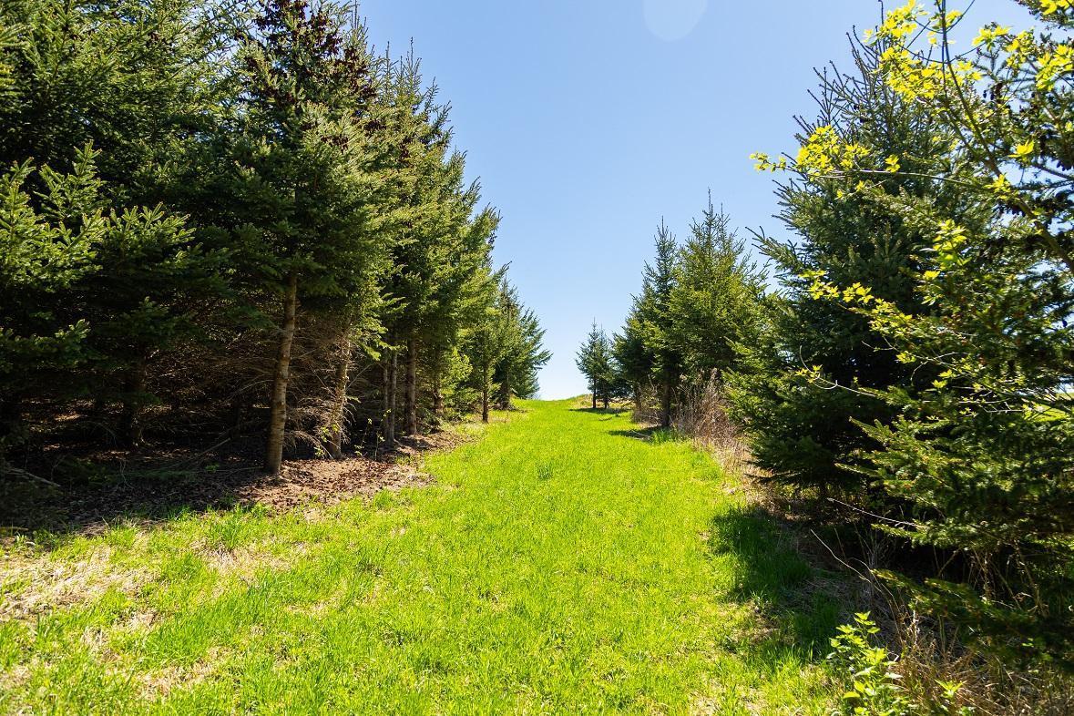 W1349 Hurlbert Road, Mondovi, Wisconsin image 39