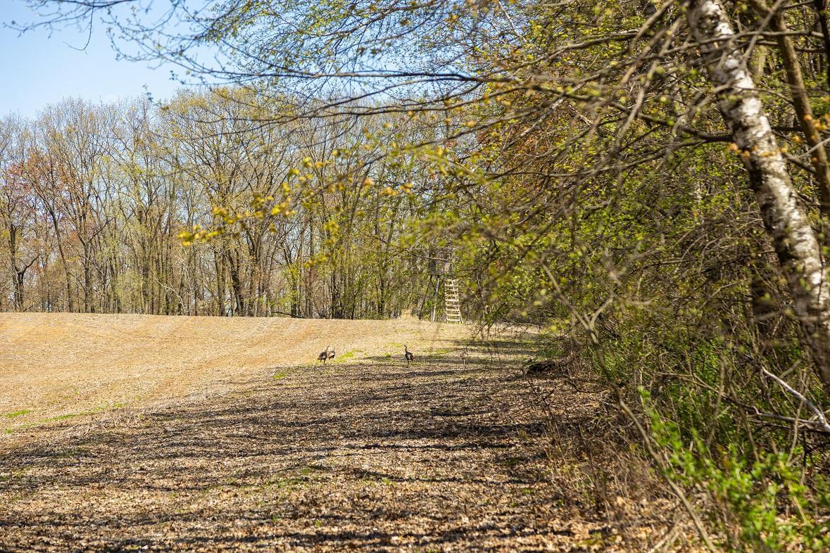 W1349 Hurlbert Road, Mondovi, Wisconsin image 3
