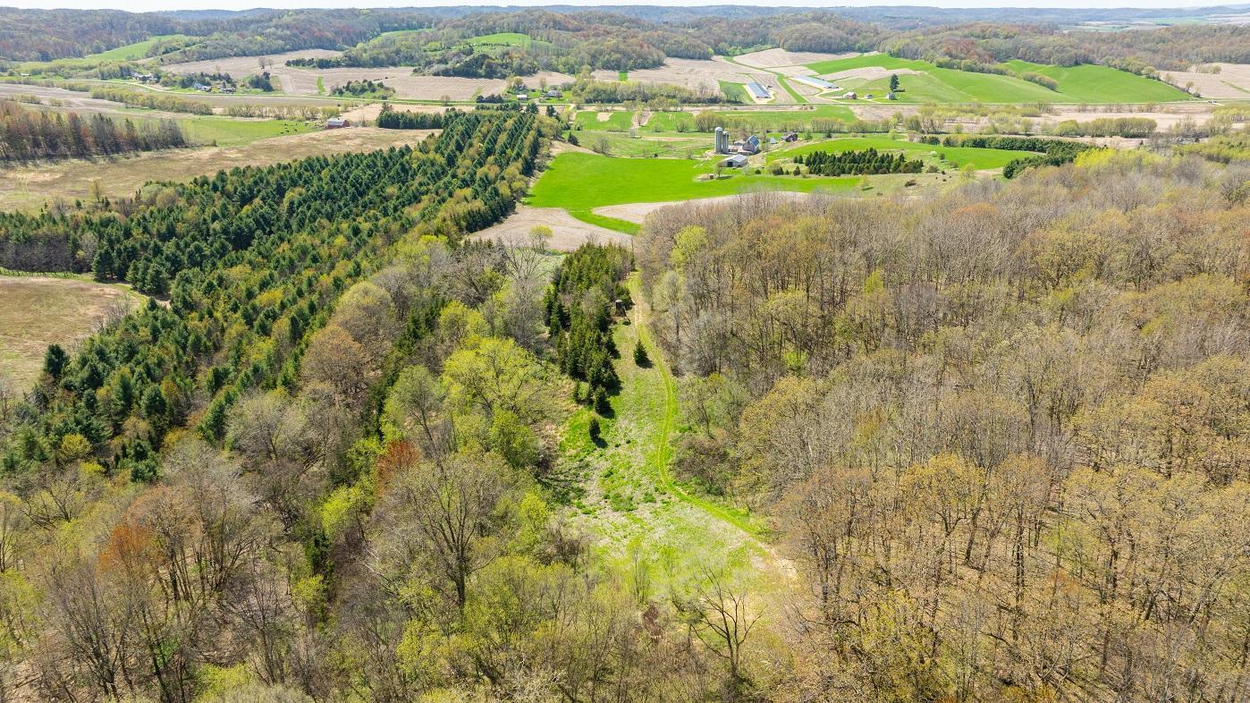 W1349 Hurlbert Road, Mondovi, Wisconsin image 21