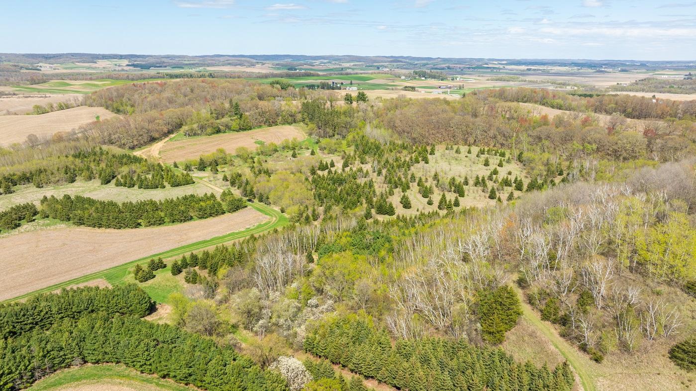 W1349 Hurlbert Road, Mondovi, Wisconsin image 38