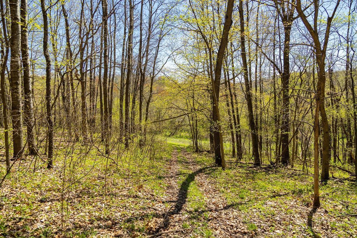 W1349 Hurlbert Road, Mondovi, Wisconsin image 13