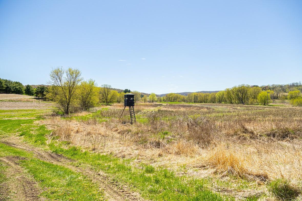 W1349 Hurlbert Road, Mondovi, Wisconsin image 6