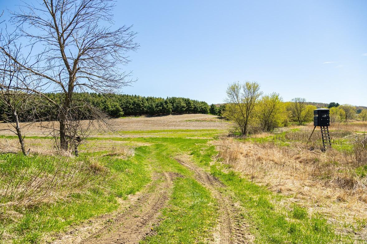 W1349 Hurlbert Road, Mondovi, Wisconsin image 26