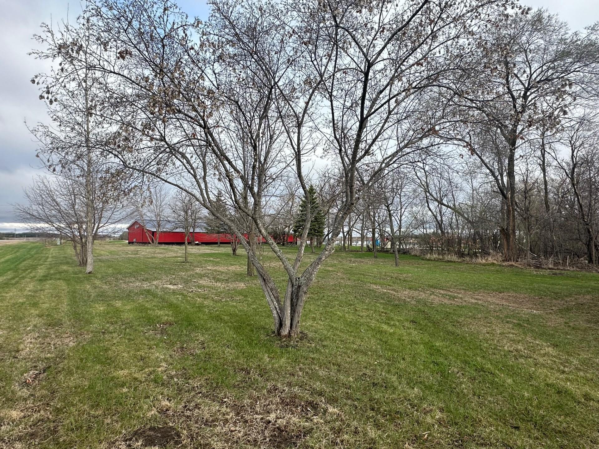 508 Holdt Street, Battle Lake, Minnesota image 4