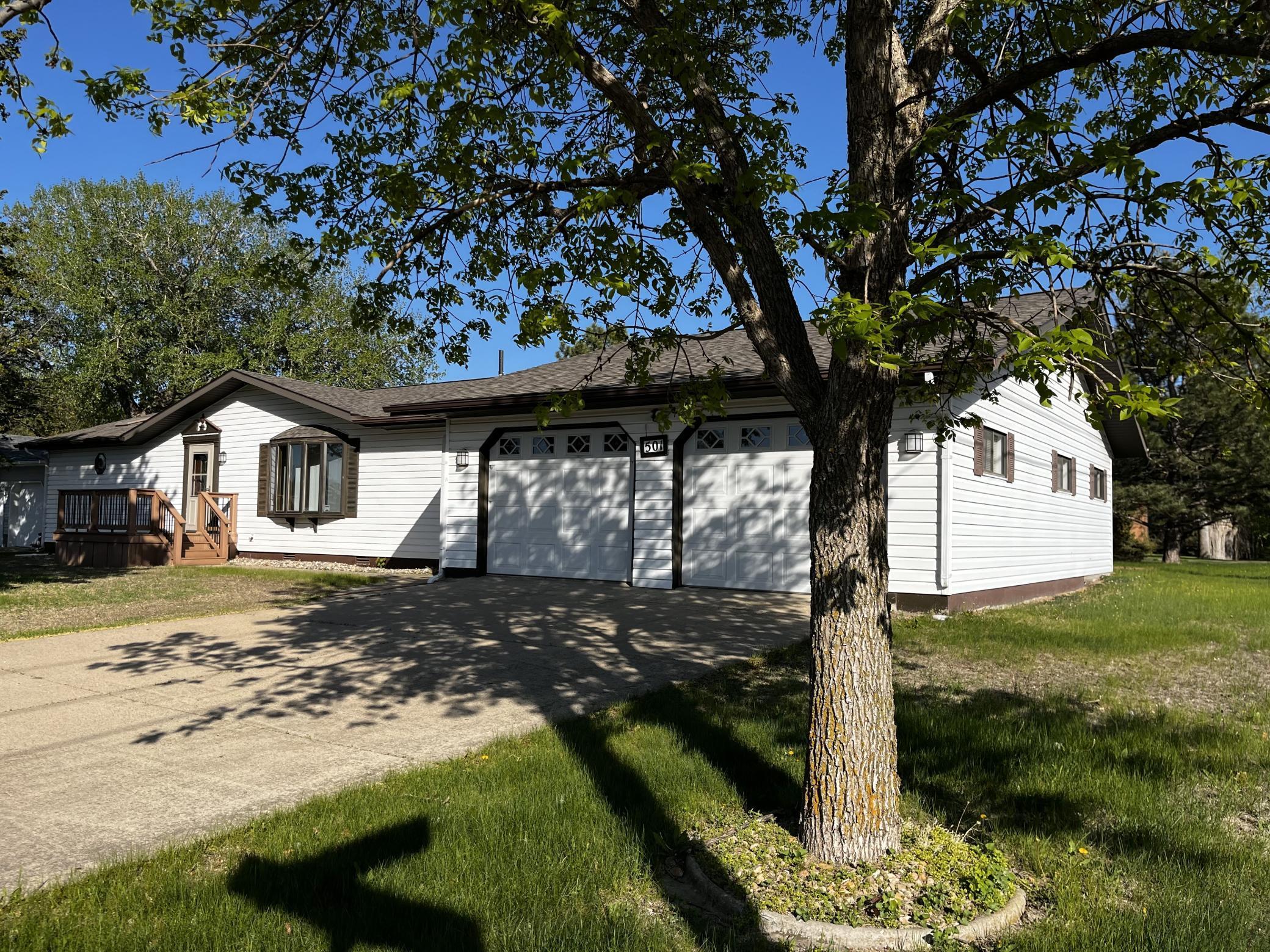 501 Lac Qui Parle Avenue, Canby, Minnesota image 1