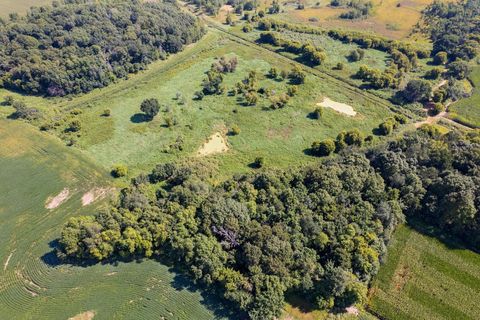 Vacant Land For Sale - TBD 211th Avenue<br/> Le Center, MN 56057