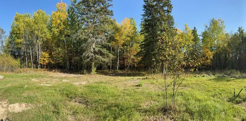 Vacant Land For Sale - 36719 State Highway 65<br/> Nashwauk, MN 55769