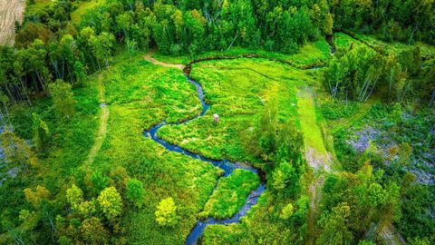 Vacant Land For Sale - LOT 3 N Blackduck Lake Road<br/> Hines, MN 56647