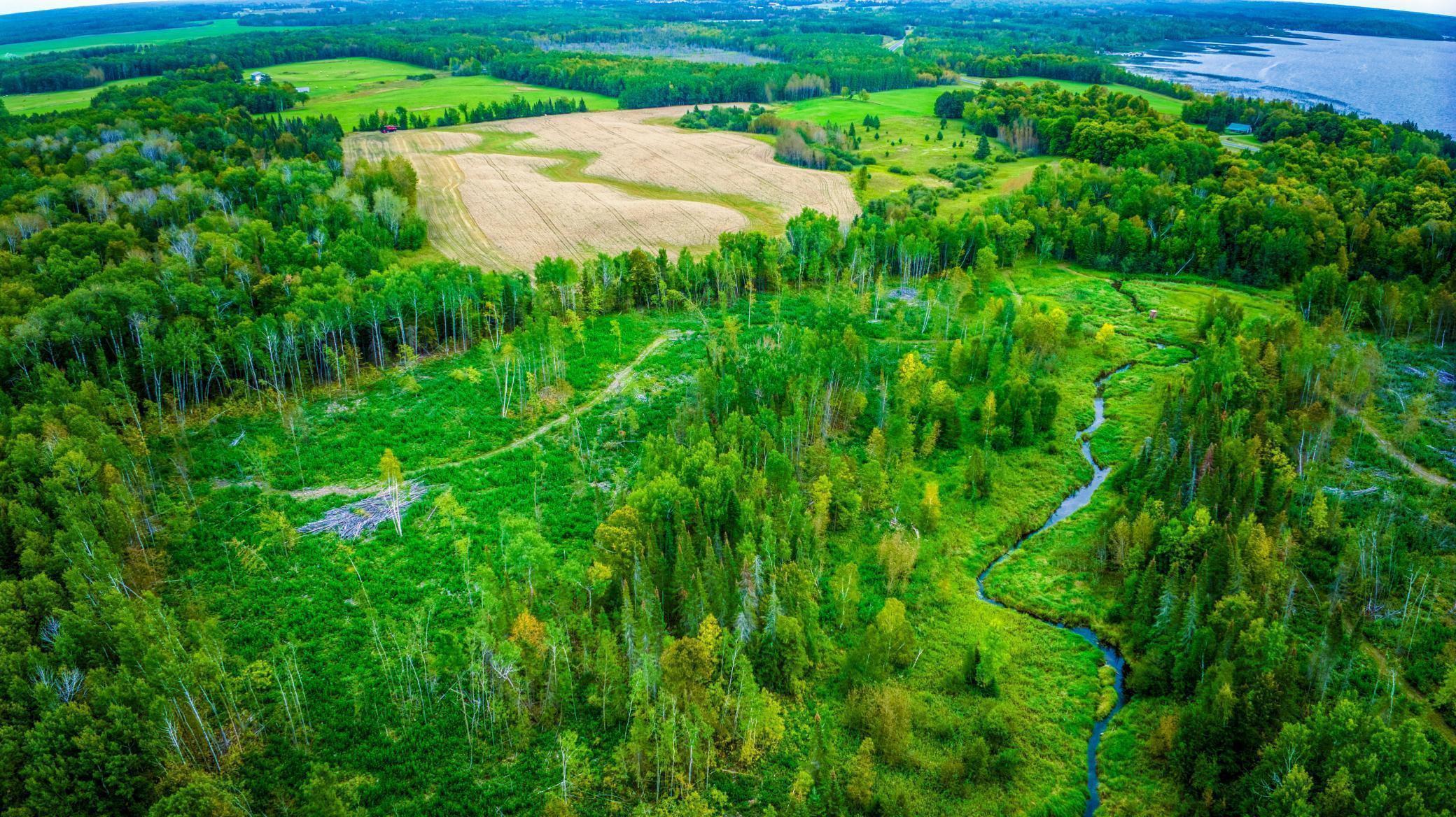 Lot 3 N Blackduck Lake Road, Hines, Minnesota image 3