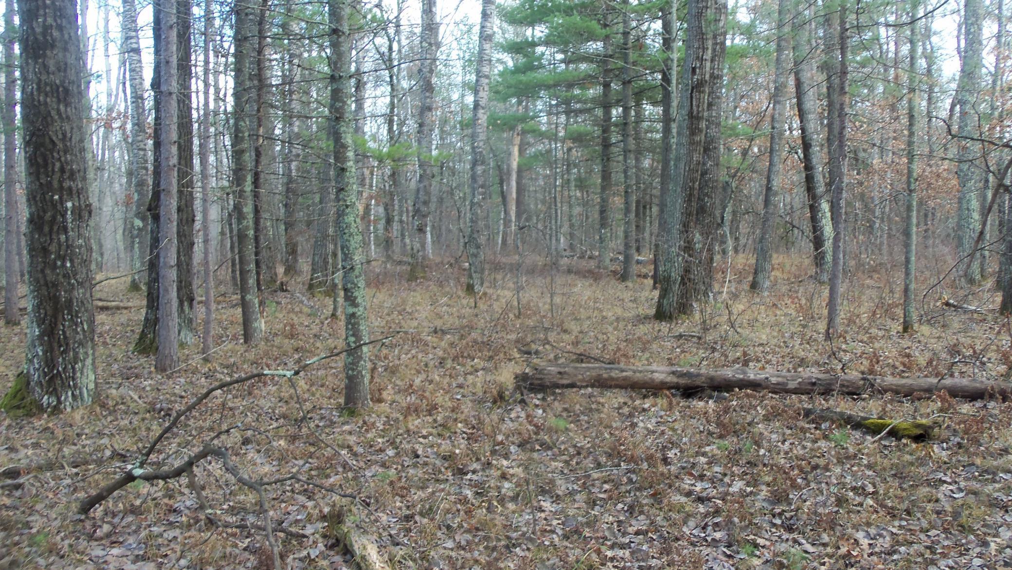 Lot 1 Gilmore Dr, Minong, Wisconsin image 5