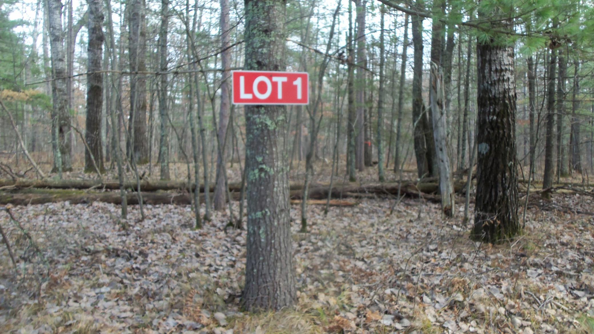 Lot 1 Gilmore Dr, Minong, Wisconsin image 2