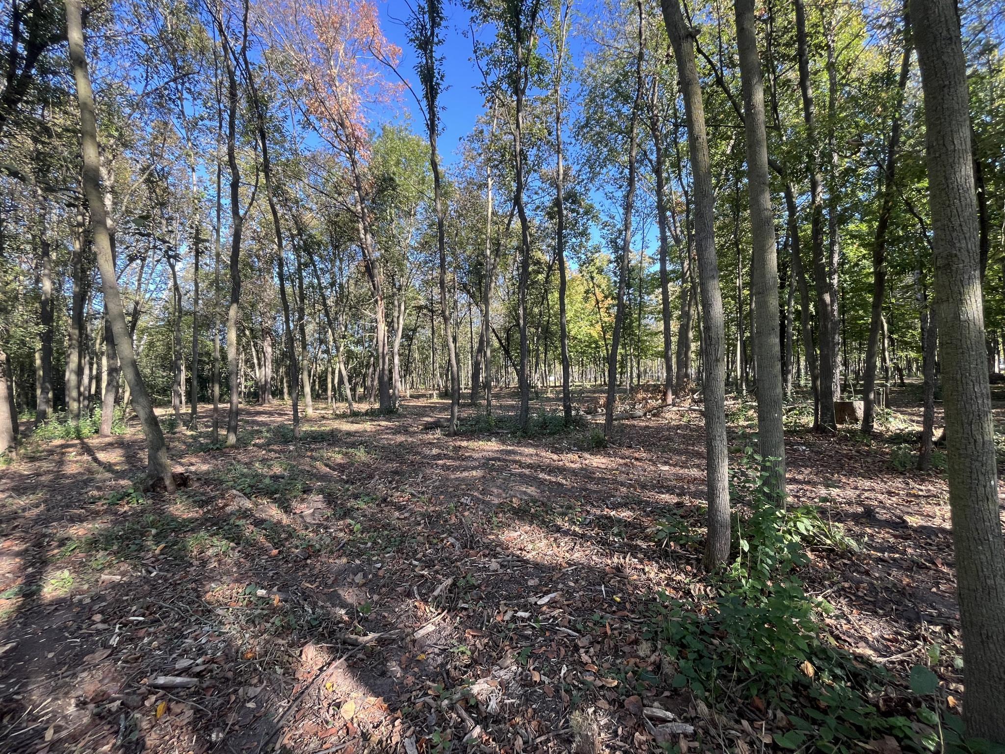 917 Scharbillig Court, Rice Lake, Wisconsin image 14
