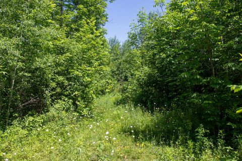 Vacant Land For Sale - 0000 N Riverside Road<br/> Moose Lake, MN 55767