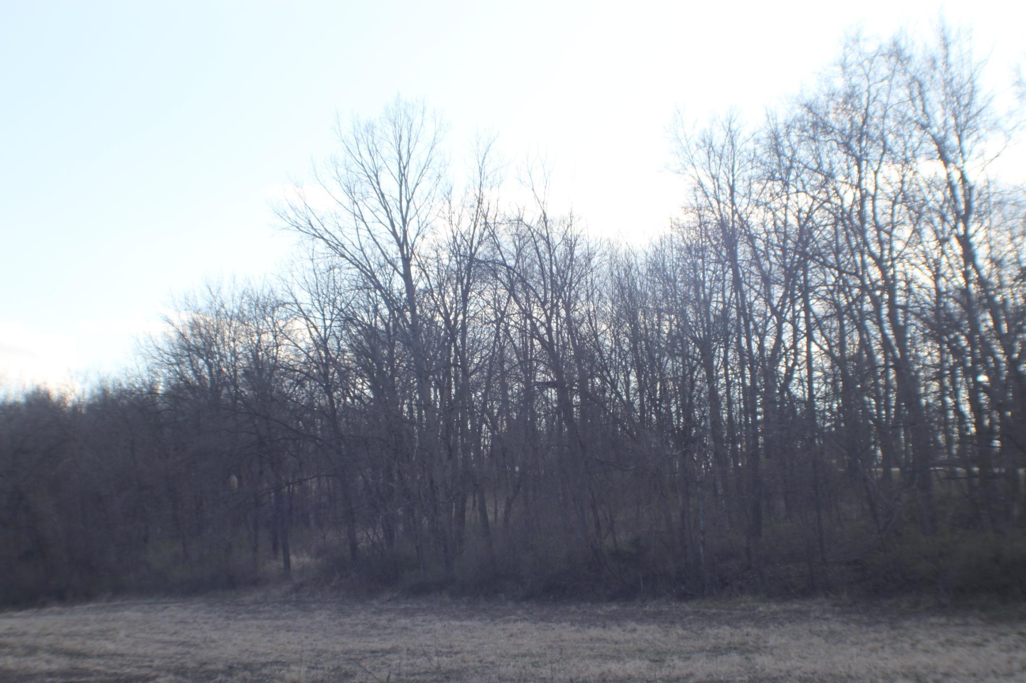 XxxxB Kings Park Road, Oronoco, Minnesota image 5