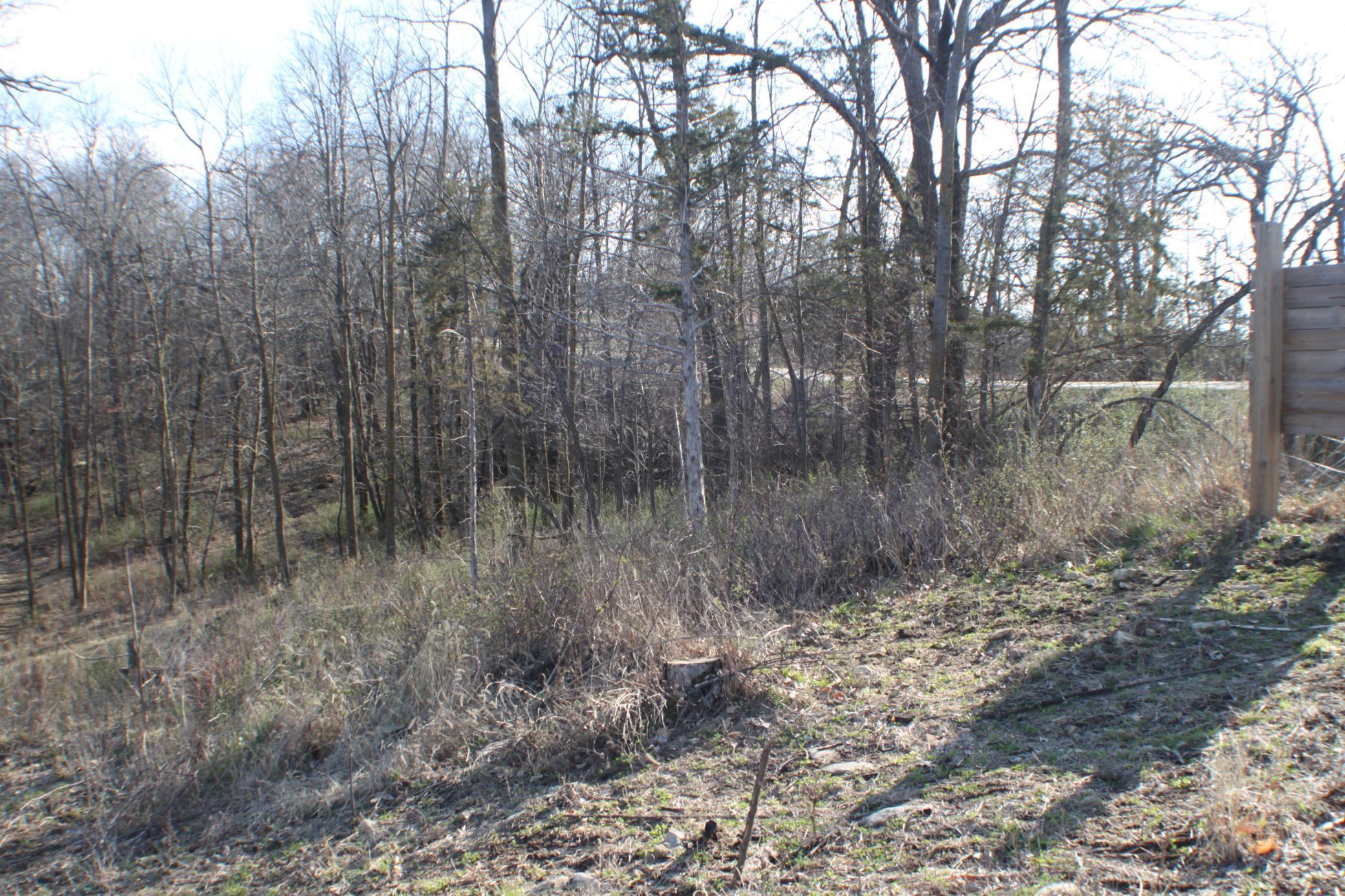 XxxxB Kings Park Road, Oronoco, Minnesota image 2