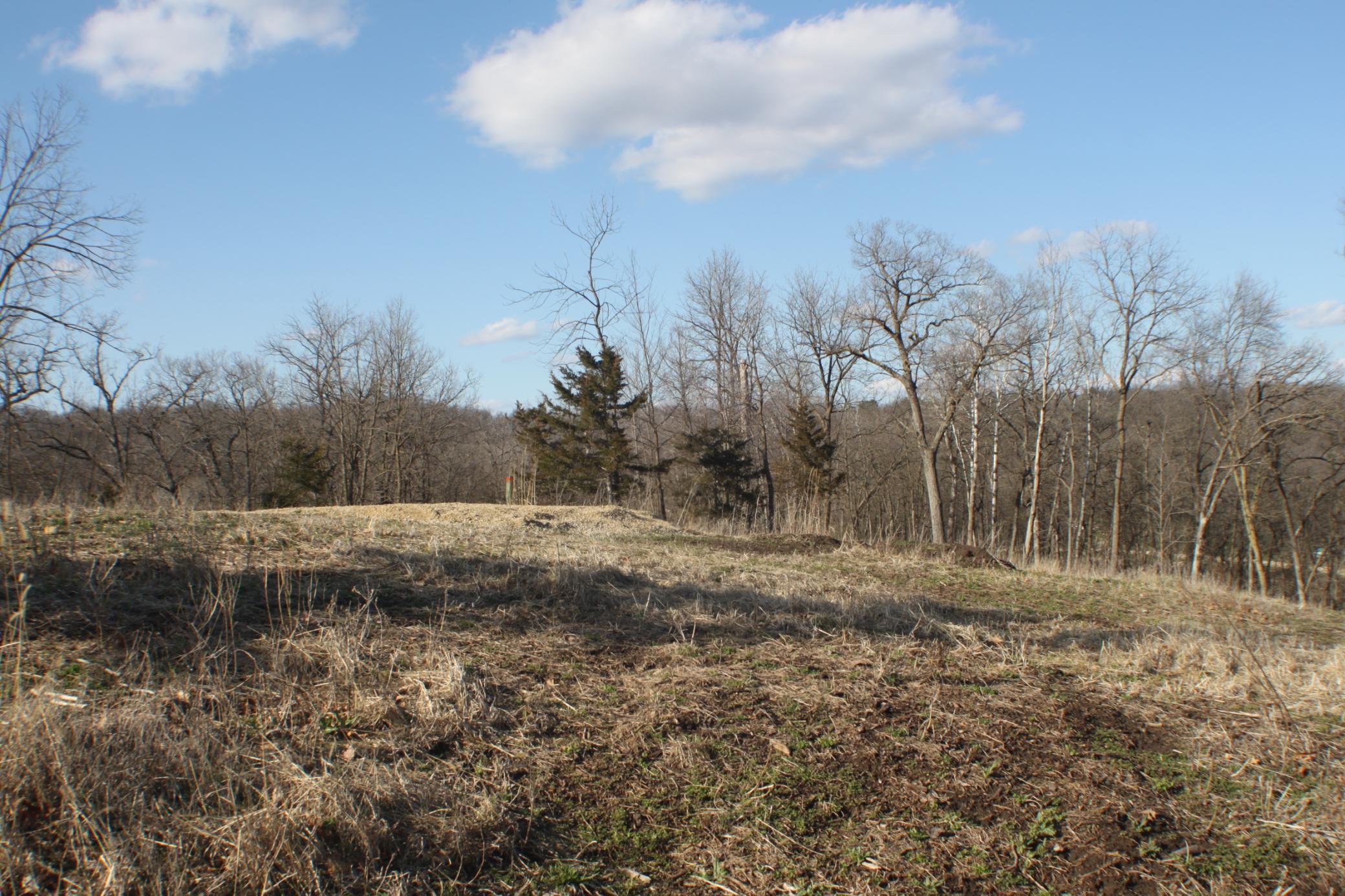 XxxxB Kings Park Road, Oronoco, Minnesota image 4