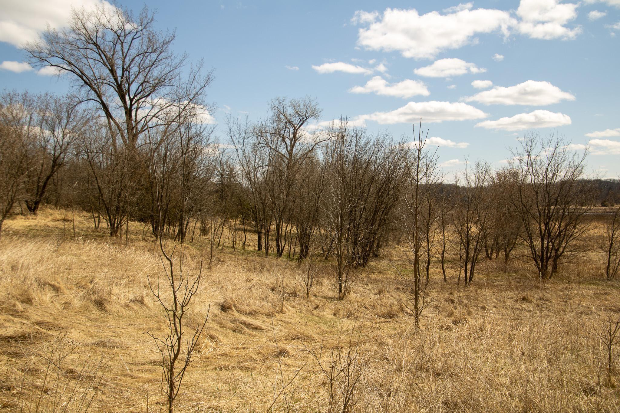 XXX Scandia Trail N, Forest Lake, Minnesota image 7