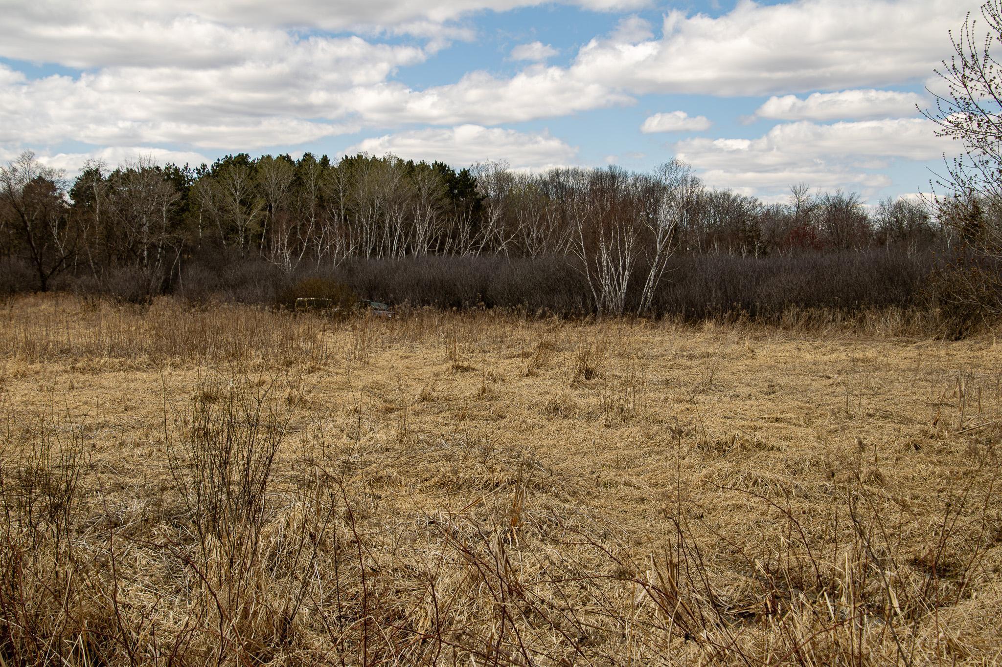 XXX Scandia Trail N, Forest Lake, Minnesota image 8