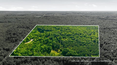 Vacant Land For Sale - 2535 11th Avenue<br/> Barron County, Chetek, WI 54728