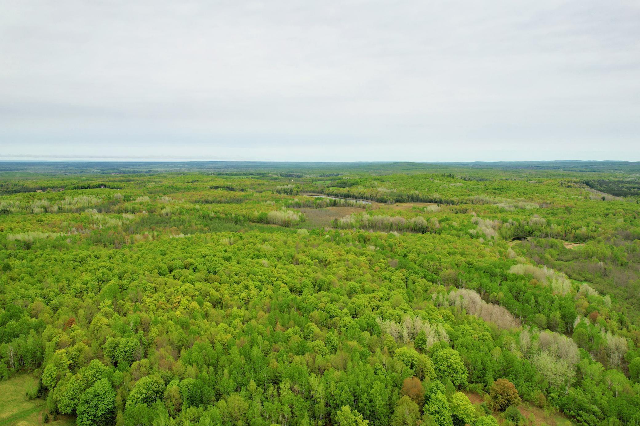 72303 Pufal Road, High Bridge, Wisconsin image 17