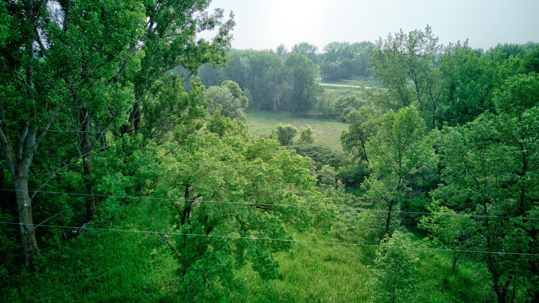 23XXX 240th Ave, Fergus Falls, Minnesota image 3