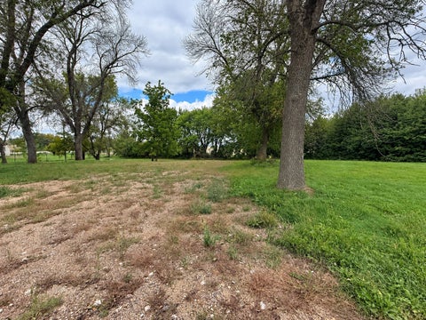 Vacant Land For Sale - 103 5th Street<br/> Geneva, MN 56035
