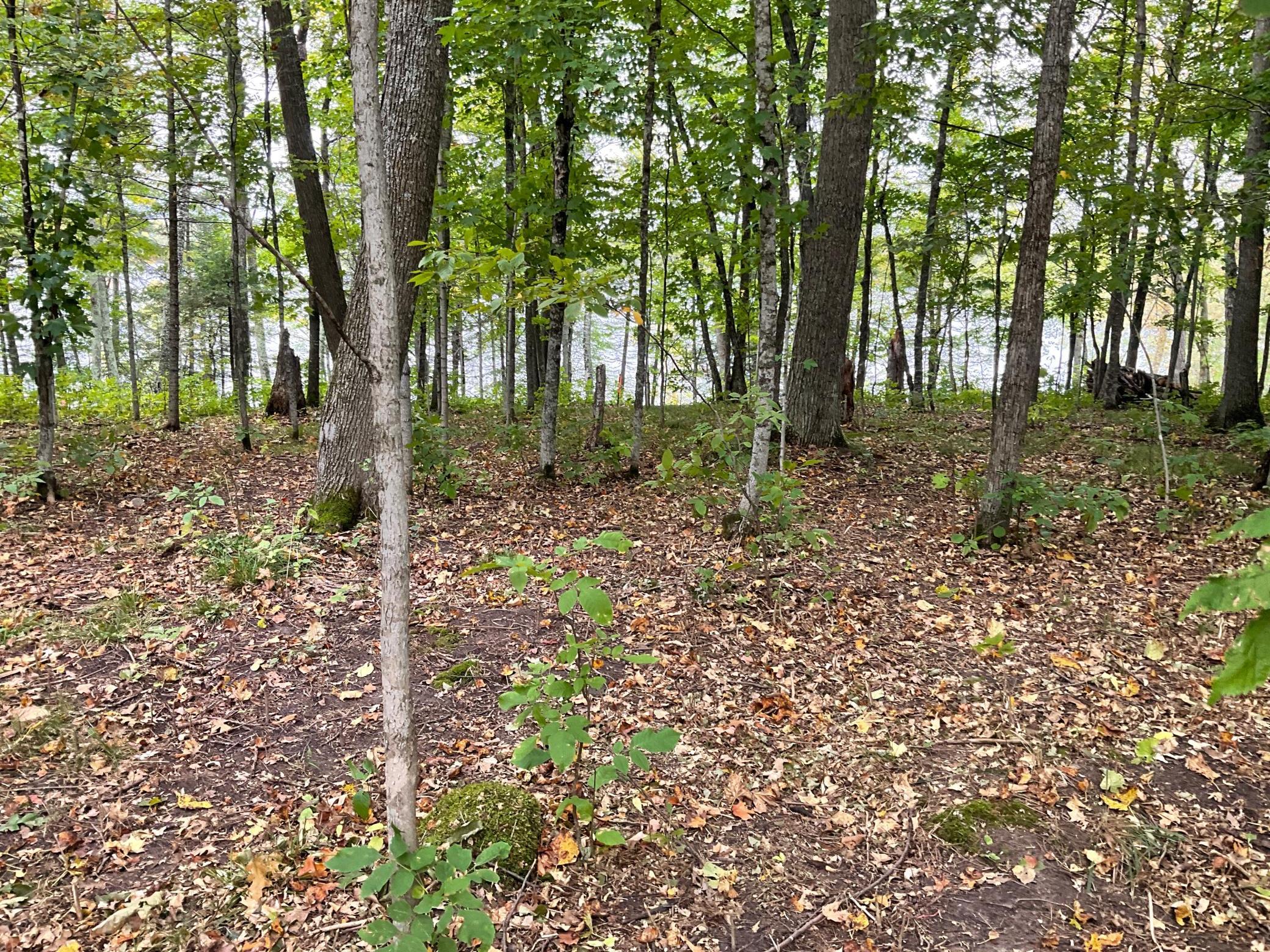 337XX Mcneil Road, Aitkin, Minnesota image 3