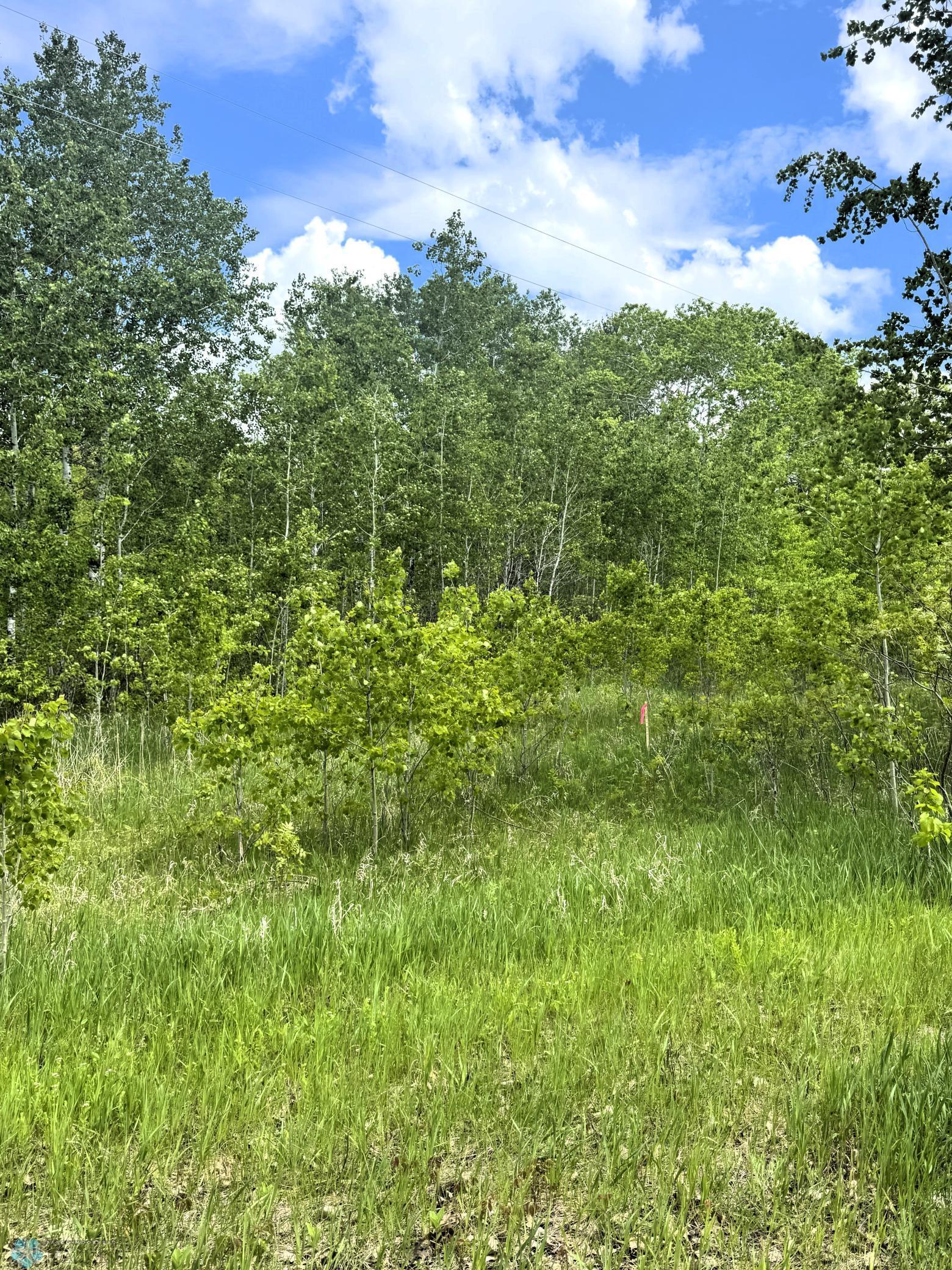 (Lot 2) TBD Ponderosa Lane, Waubun, Minnesota image 2