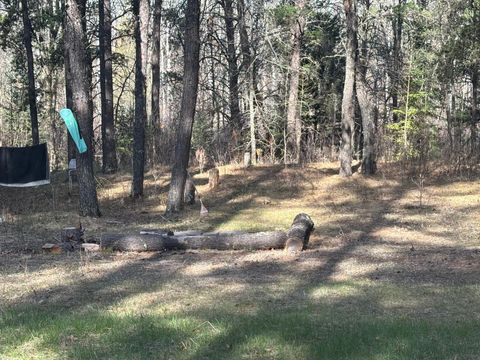 Vacant Land For Sale - TBD Arbor Road<br/> Park Rapids, MN 56470