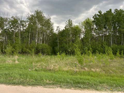 Vacant Land For Sale - TBD 160th Street<br/> Thief River Falls, MN 56701