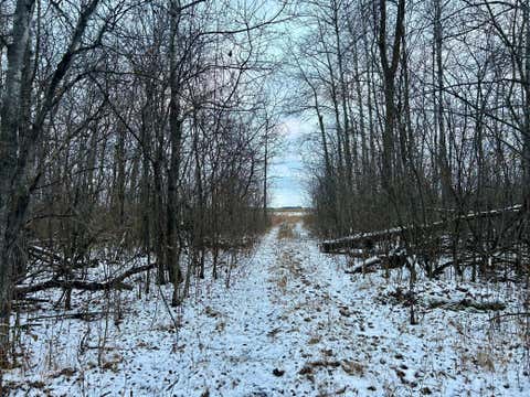 Vacant Land For Sale - TBD 160th Street<br/> Pennington County, Thief River Falls, MN 56701