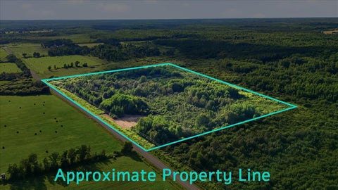 Vacant Land For Sale - TBD County Road 156<br/> Carlton County, Kettle River, MN 55757