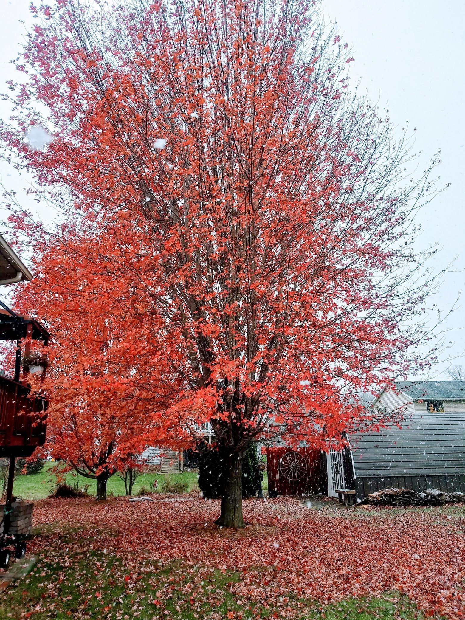 310 Hazelnut Drive, Woodville, Wisconsin image 28